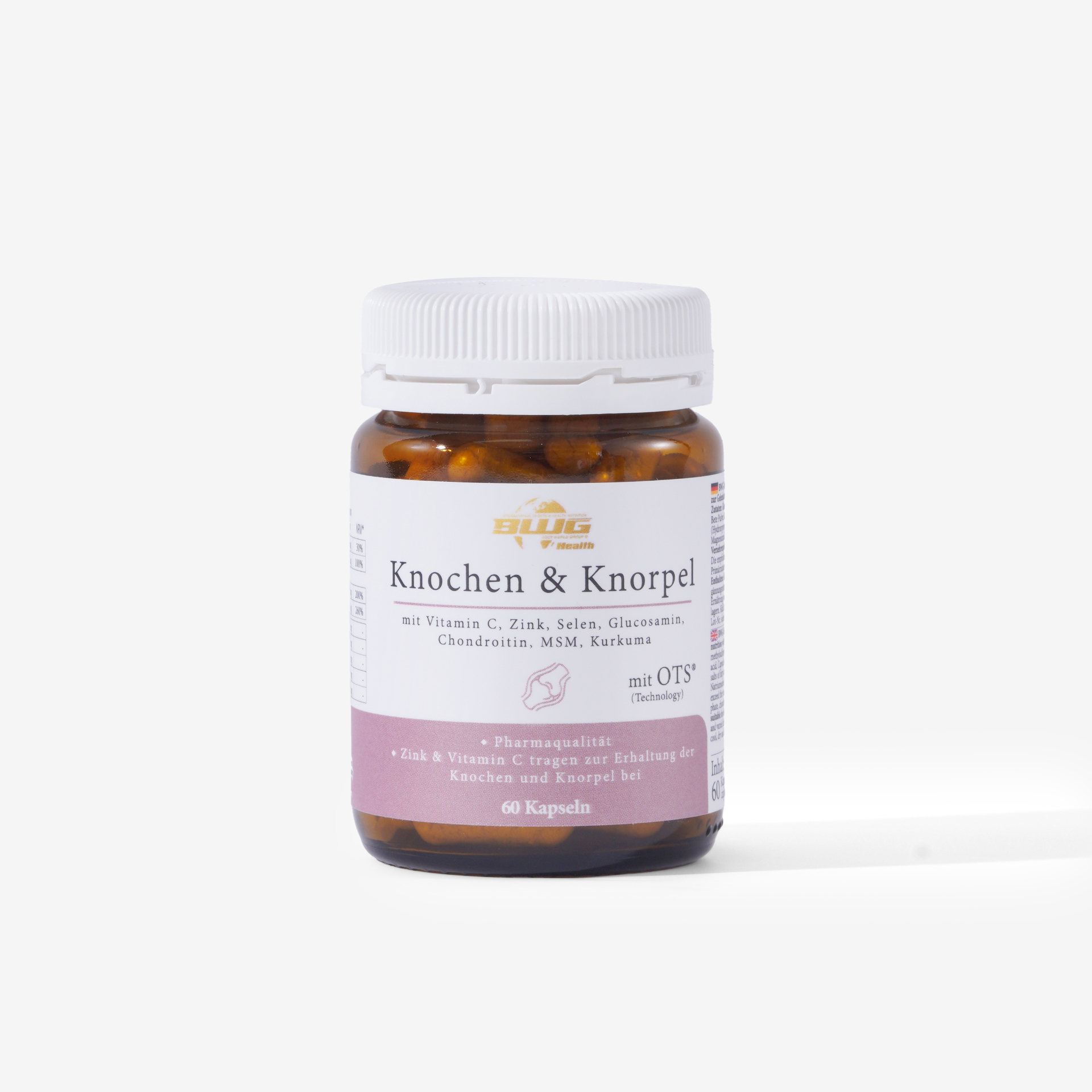 Knochen & Knorpel